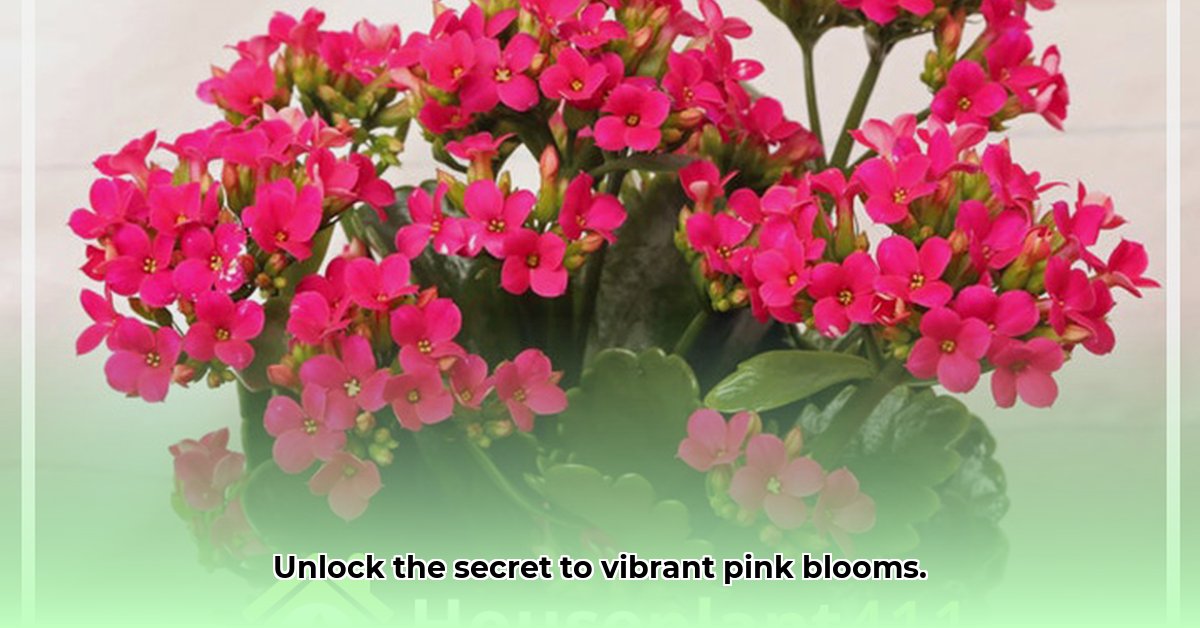 pink-flowering-plant-care-guide